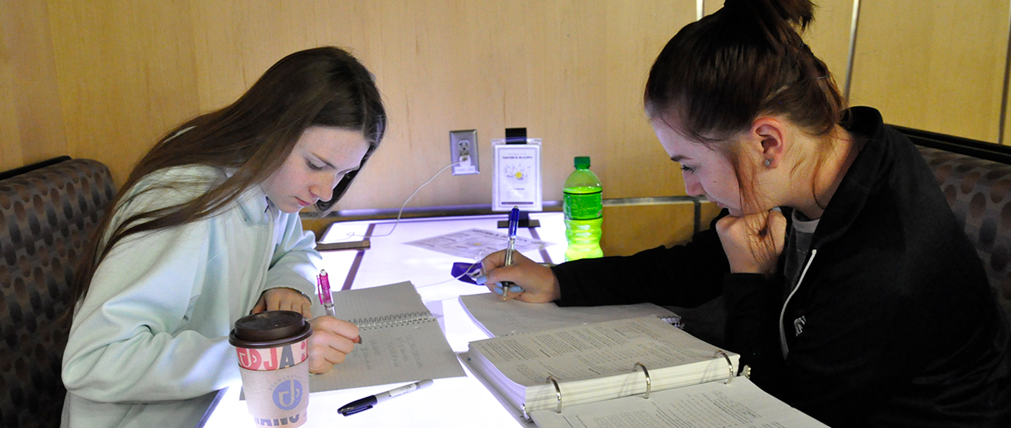 Two girls doing their homework on their notebook in the bullpen area