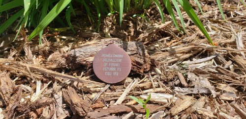 Picture of medallion in a field