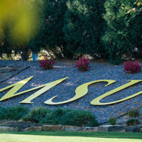 Big yellow 'MSU' letters on a small hill with flowers on the corner of Stadium road by the football field