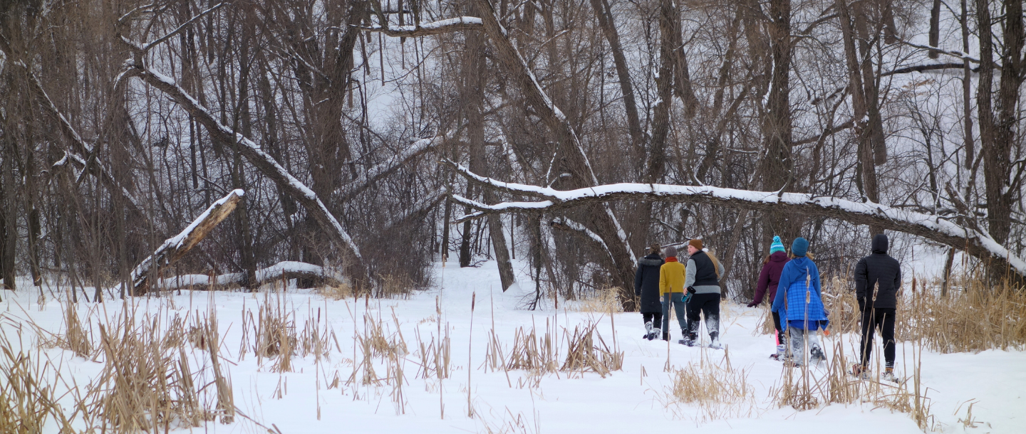 a group of people walking in the snow