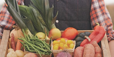 A closeup of a farmer holding a big basket of vegetables picked from the garden