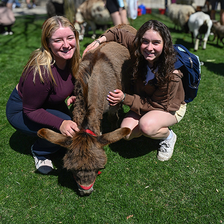 two women petting a donkey