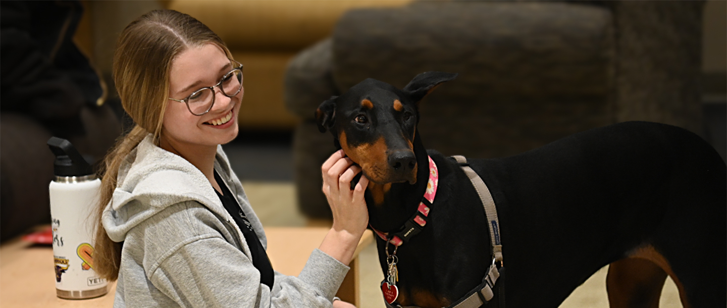 a person petting a dog