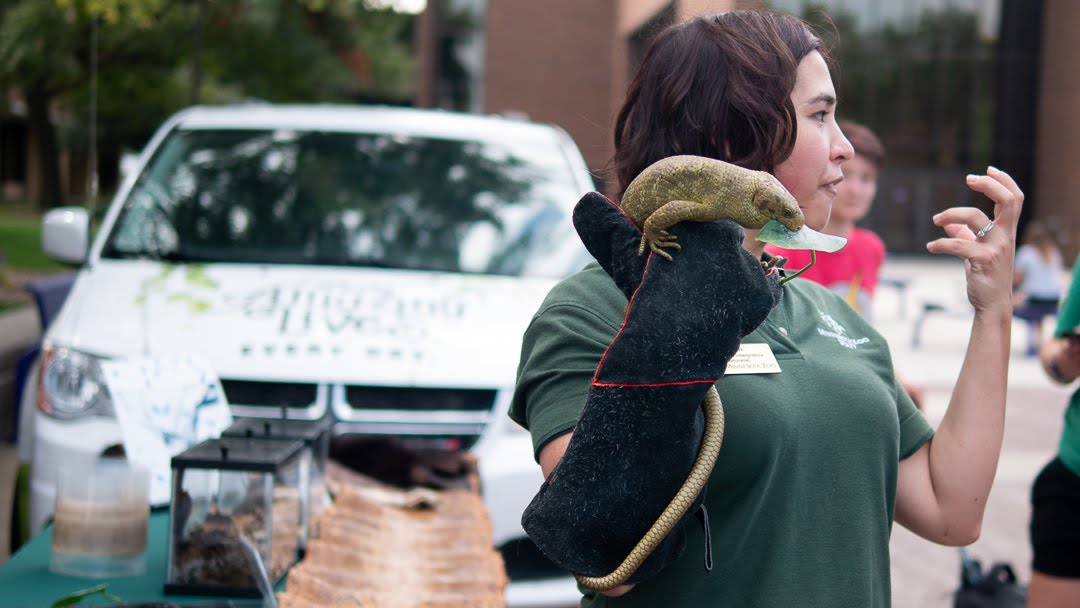 a person holding a lizard on her shoulder