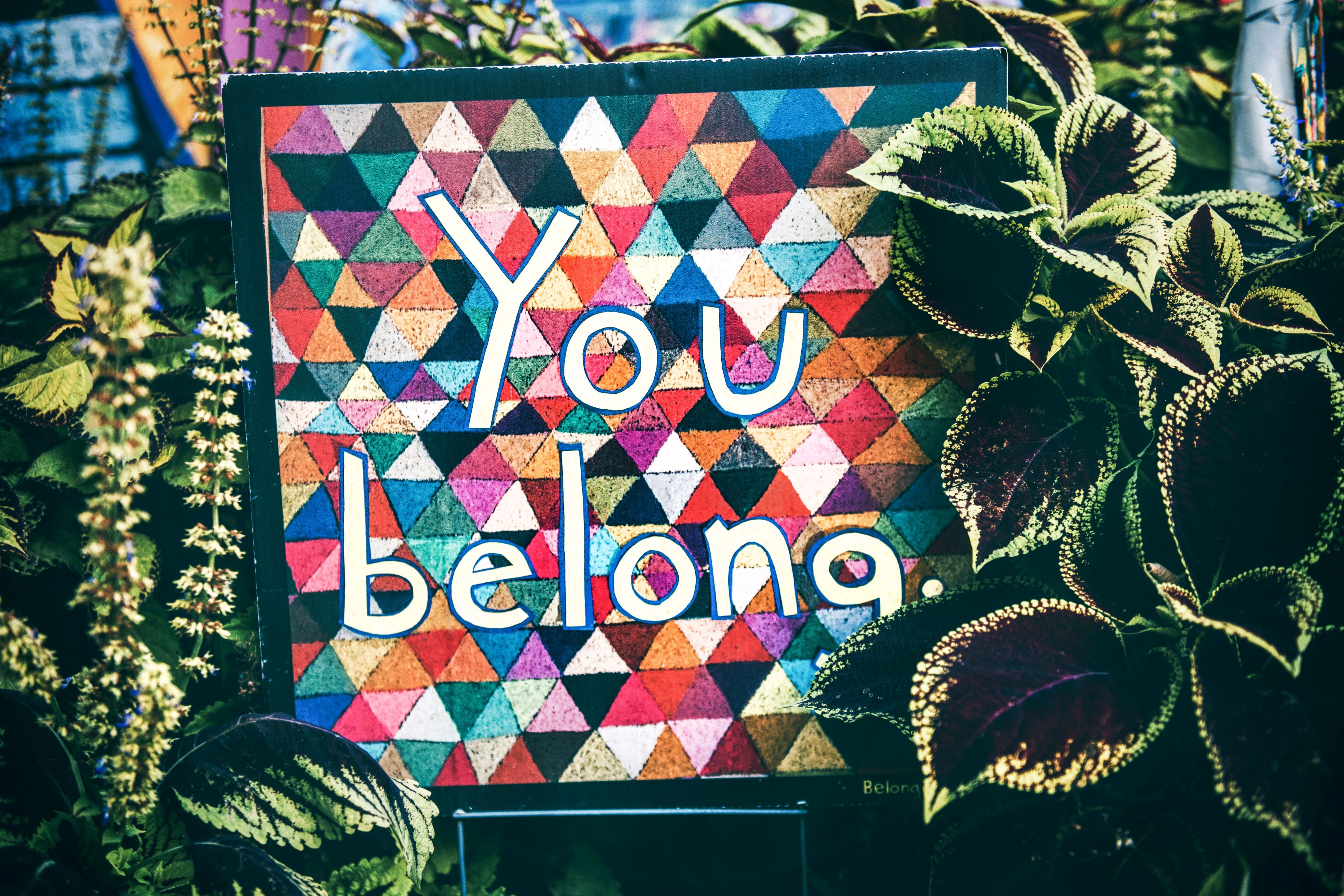 a poster surrounded by houseplants that reads You Belong.