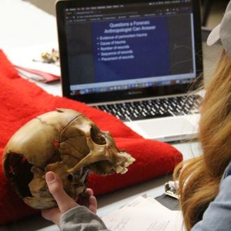 A student examining a skull and studying at a desk with a laptop