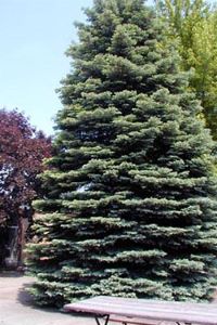 The Shurson Garden located in Wiecking Center’s open courtyard