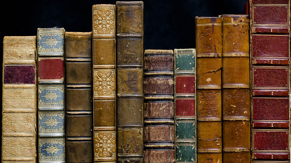 library books lined up on a shelf