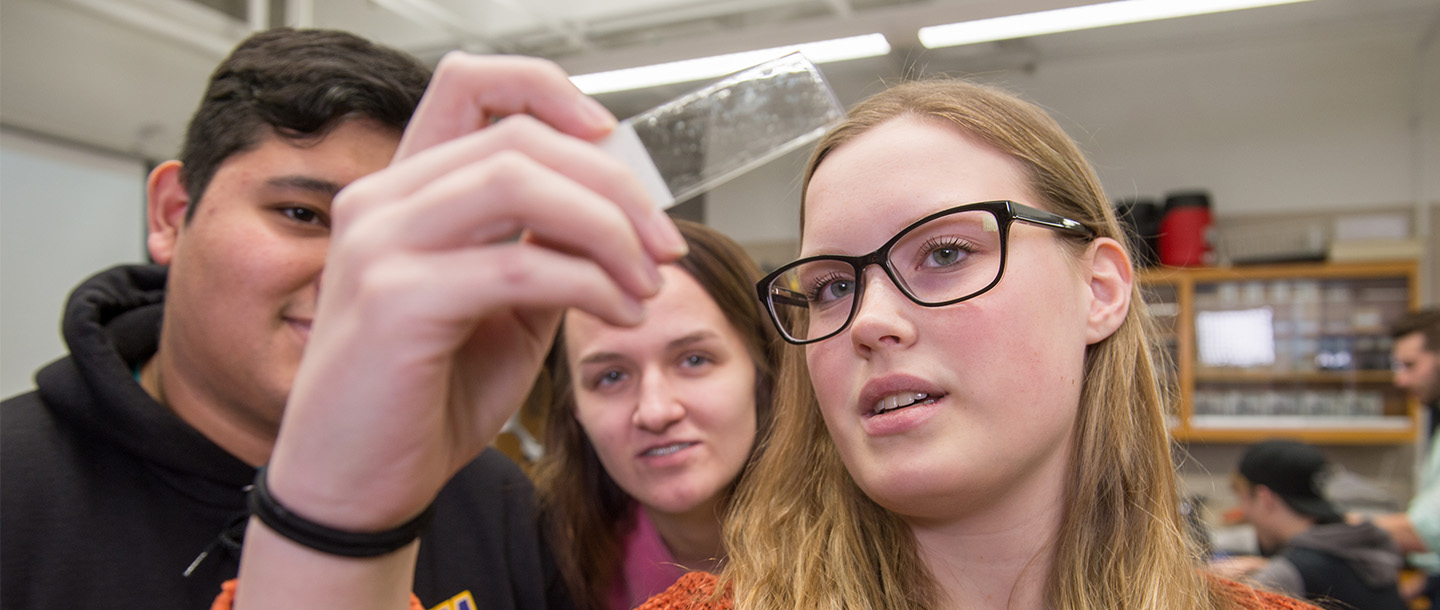 Women in STEM (Science, Technology, Engineering and Math)