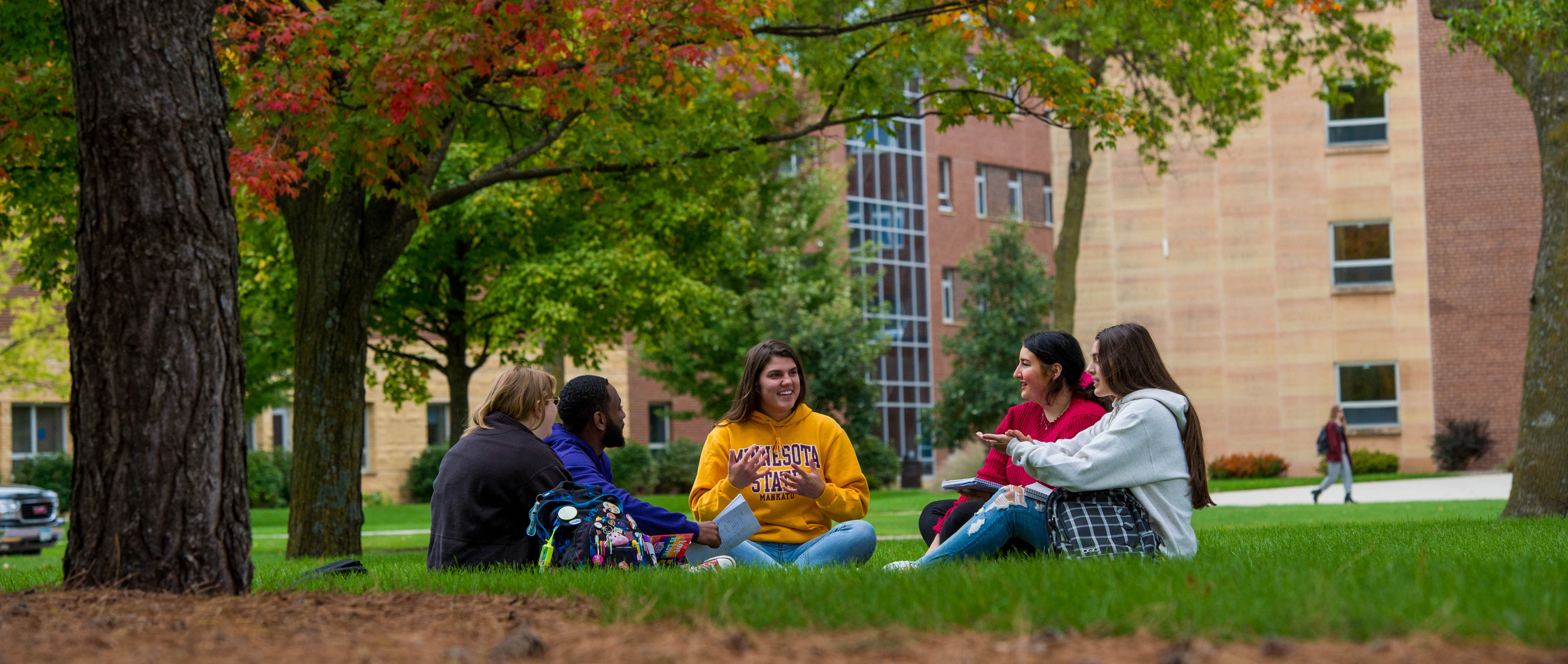 image of five students sitting on the campus lawn talking.