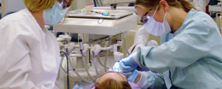 a dentist working on a patient